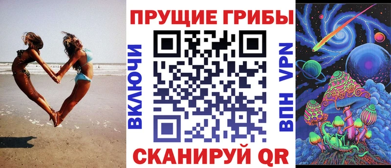 Галлюциногенные грибы Psilocybine cubensis  Северодвинск 